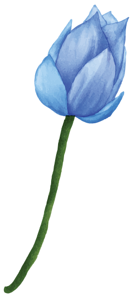 Lily Bud Left