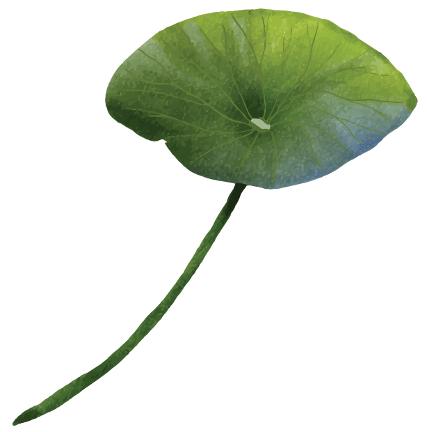 Lily Pad Left