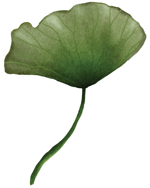 Lily Pad Right