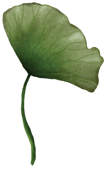Lily Pad Small Left