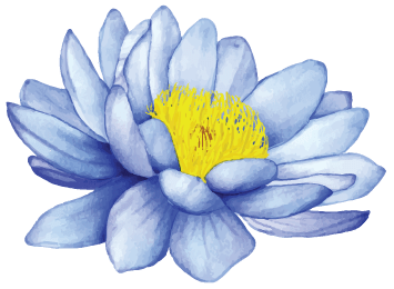 Small Lily Left